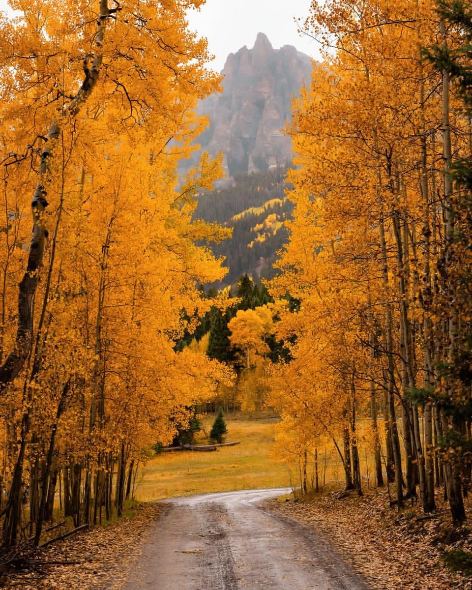 earthviewss1's tweet photo. Fall vibes in Colorado, 🇺🇸 https://t.co/9v0tqX6L0r