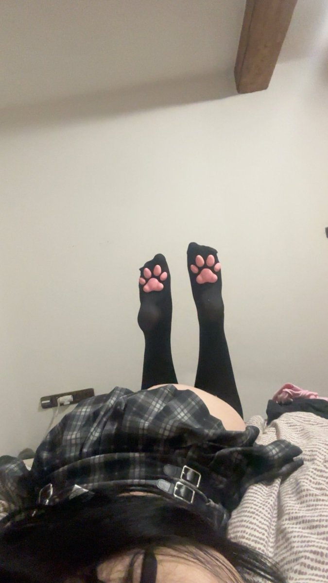 urkittenmiu's tweet photo. I think i should clean my room… and lose some weight too haha@-@
#catpaws #nsfwtwt https://t.co/K0HovykpAB