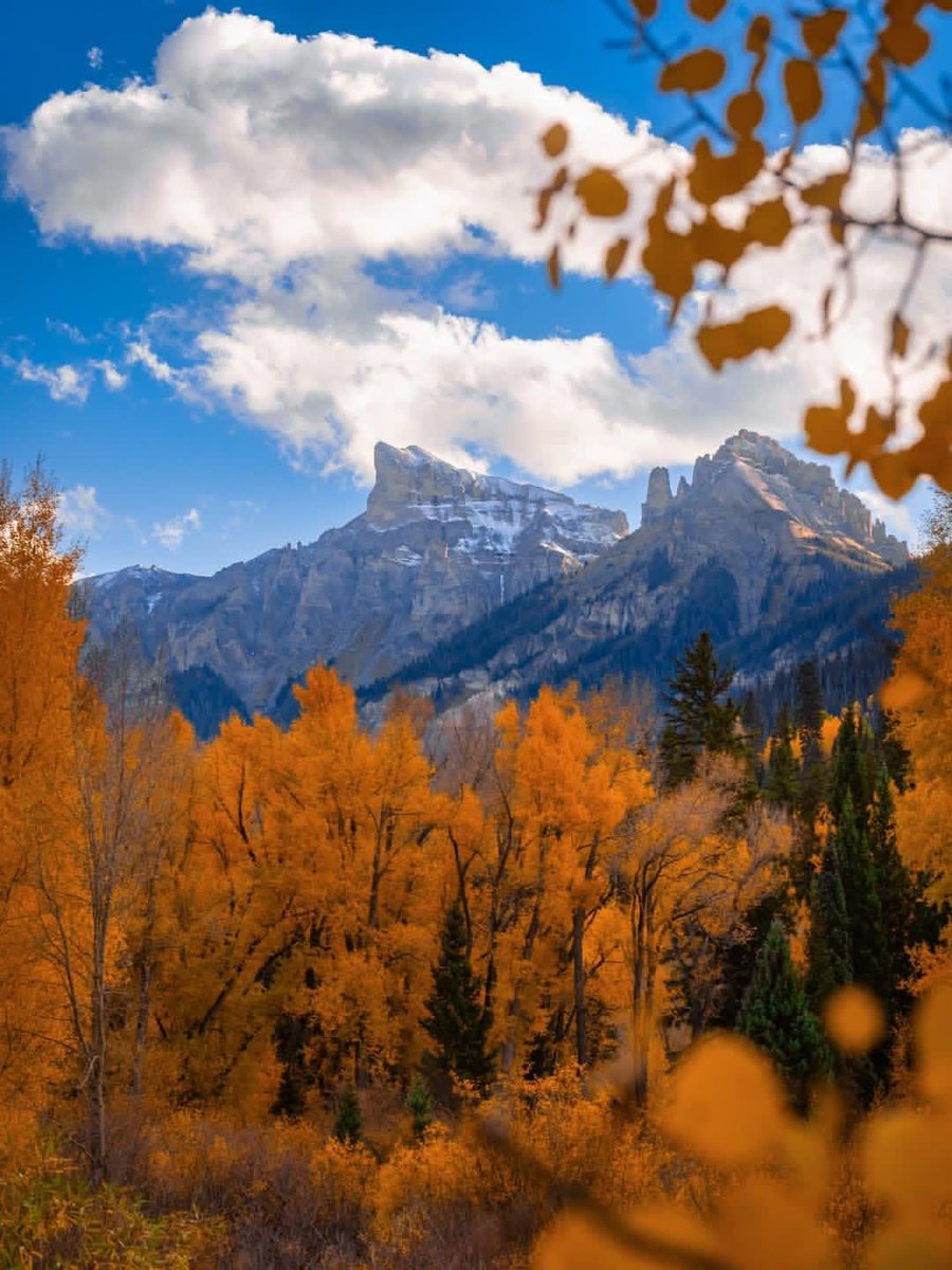 earthviewss1's tweet photo. Fall vibes in Colorado, 🇺🇸 https://t.co/9v0tqX6L0r