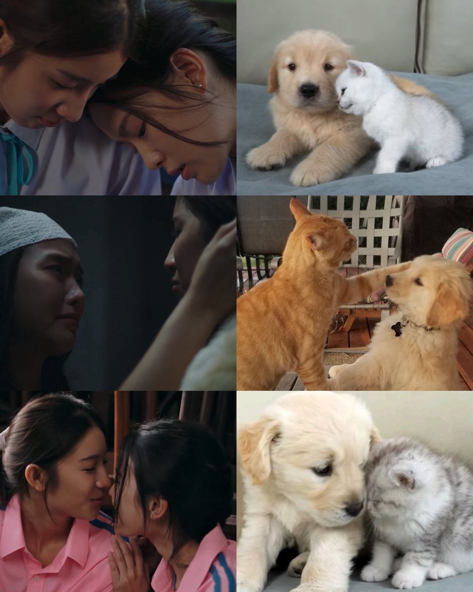 co2sie_'s tweet photo. โตเกียวบลูเหมือนม๋าแมวจริงๆ ( 🐶🐱 ) 

JULIET and JULIET EP 4
#จูเลียตแอนด์จูเลียตอีพี4 https://t.co/TitEejfatq