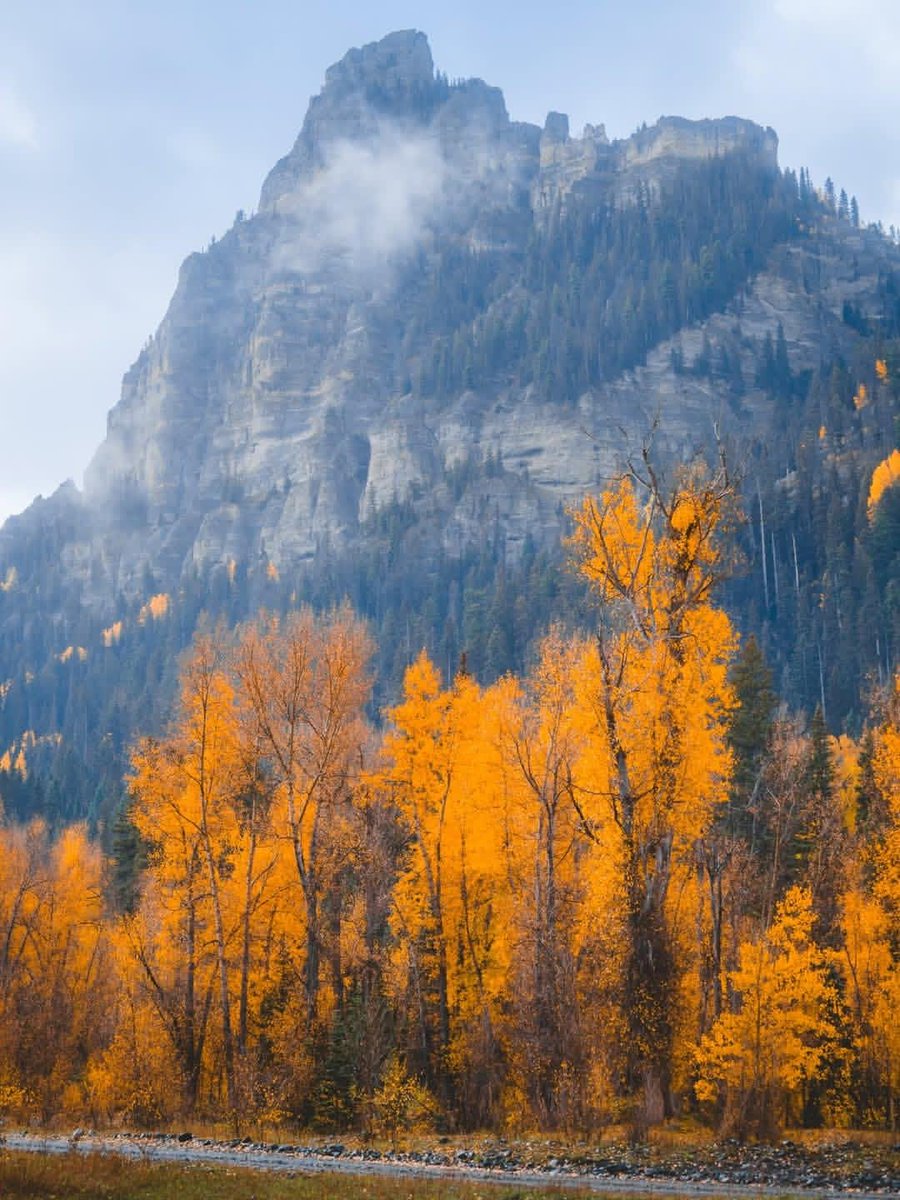 earthviewss1's tweet photo. Fall vibes in Colorado, 🇺🇸 https://t.co/9v0tqX6L0r