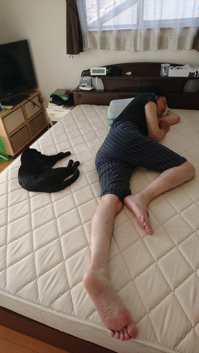 BUzvdy's tweet photo. 気付くと横で寝てるヤツ
やっぱりみんな心があるんだな
同じ長さの時間を生きてるんだな
ややこしくしてるのはいつも人間
彼らの方がずっと高尚なんだろうな
きっとね　おやすみなさい https://t.co/klIx5jslX5