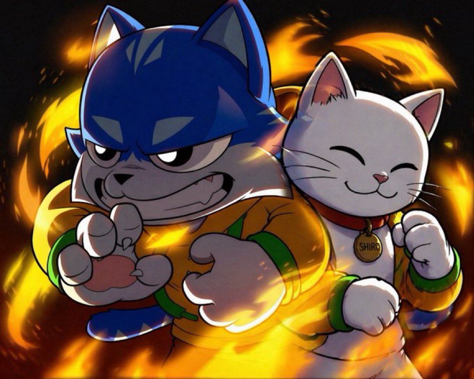 worldofgrace34's tweet photo. Only the strong stay

 $TOSHI holding down Base like the ultimate mascot tied to Coinbase roots, Satoshi vibes, and that unbreakable community energy.

$SHIRO sliding in from ETH with pure white cat alpha, building the Shiroverse, plushies, staking, and cross-chain moves.

Two legends. One cat season. 

Base + ETH = infinite gains. 

Stack both or watch from the sidelines

@shiro @Toshi @base