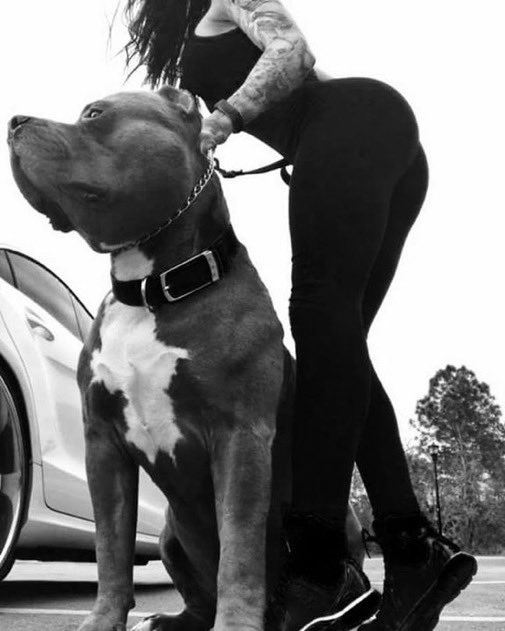 Pacateaq's tweet photo. I’m not interested in regular sex anymore…
I only crave that fat dog knot
Watch full clip 👇
https://t.co/FyyYnKdZLq
#dogknotting #zoophile #bestiality #k9girl #ZooPorn #dogslut #zoopride #zoo #knotty #dogknot #dog #k9 https://t.co/1oyZRt5pEU