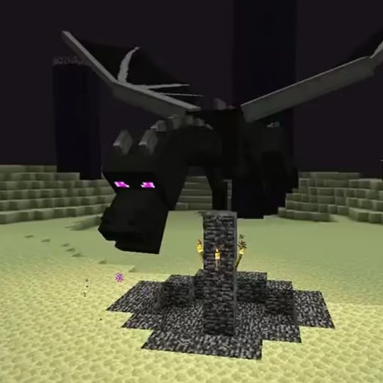 ssillazul's tweet photo. Se dice que Elaiyah supuestamente mató al Ender Dragon pero se olvido de agarrar el huevo del dragón. https://t.co/LhLwkXVACv