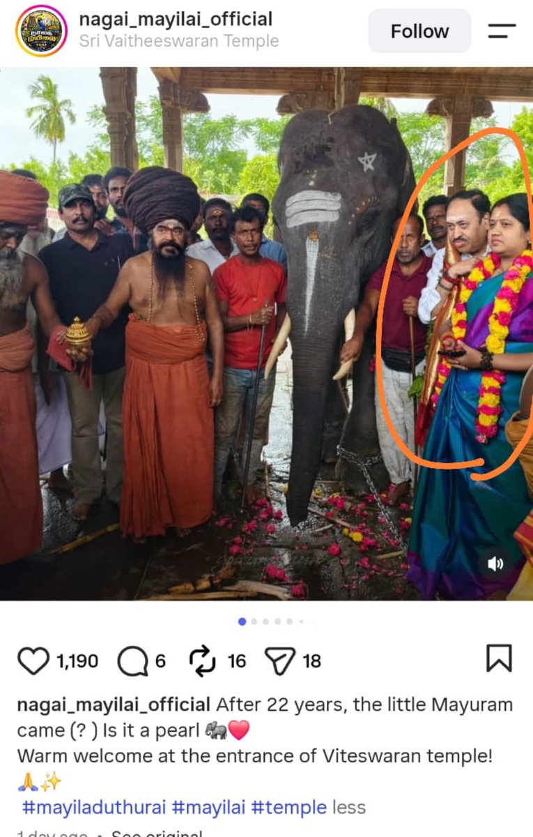 dilthi_gujarati's tweet photo. ALL FIVE BABY ELEPHANTS ARE NOW IN CHAINS IN #TAMILNADU TEMPLES, BUT THE QUESTIONS HAVE NOT ARRIVED WITH THEM...!

🐘 Durga is at the Meenakshi Amman Temple in Madurai.

🐘 Hiralal and Shiva are at the Arunachaleswarar Temple in Tiruvannamalai.

🐘 Rupsing is at the Sri Vaidyanatha Swamy Temple.

🐘 Bijuli is at the Kanchi Kamakoti Gajashala.

All five have now reached Tamil Nadu.

But their arrival does not answer the fundamental questions about their provenance, ownership, parentage, microchips, DNA, acquisition history and transfer records.

The authorities should independently verify the complete history of each elephant, not simply the transport permits.
Assam’s elephants belong to an ecosystem of forests, rivers, landscapes and social relationships.

Why were these young elephants moved nearly 3,000 km away?

@SigneSol0
@PFCII
@elephantsjp
@Chinmayi
@LavanyaBallal
@SinghReetam
@SpotzHaroon
@HoomanDecoder
@pricatttt
@sanskriticekl
@AnkaraS13
@MaleficentLady 

#VerifyTheFive #WhyTheChains #NoElephantsInTemples #StopElephantCaptivity