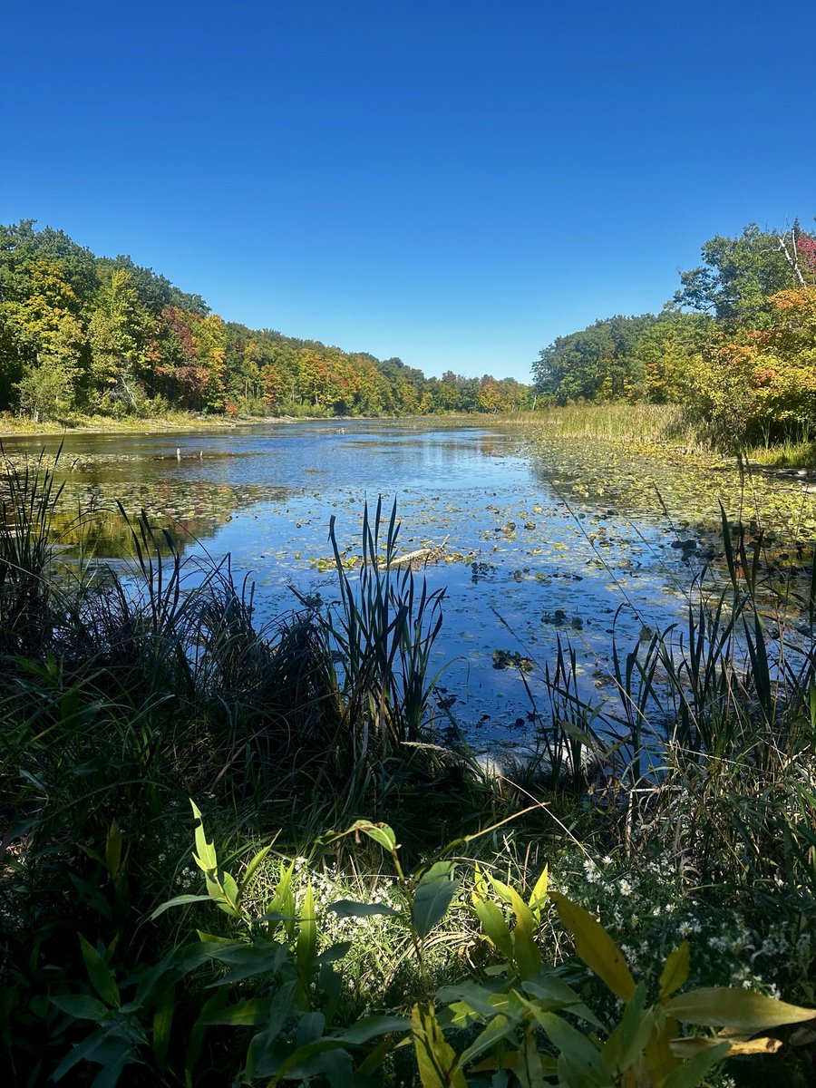 ConsumerSOS's tweet photo. At nearby Terra Cotta Conservation Area: Wolf Lake. @CVC_CA https://t.co/sMOveU6v9W