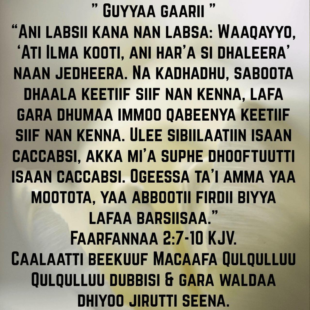 speterjason's tweet photo. Barsiisa Macaafa Qulqulluu Qulqulluu:- https://t.co/QMhY4Ule6D