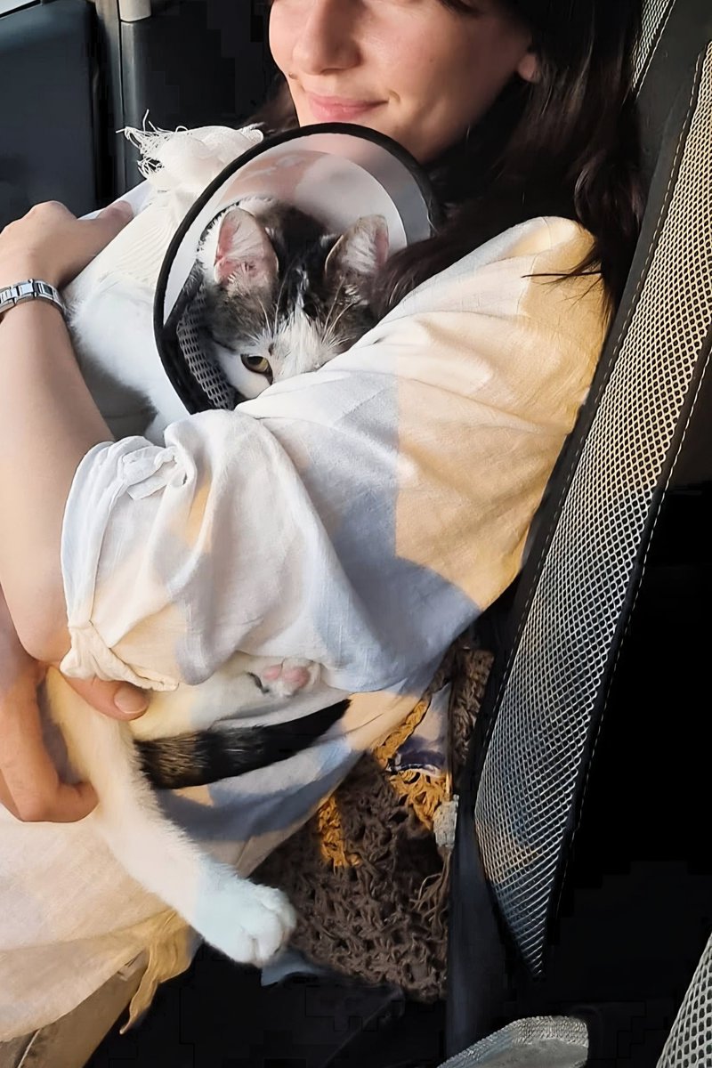 _duygulogy_'s tweet photo. Bilin bakalım kim üst üste dikişlerini patlatıp 3 kez ameliyat oldu ve 1 haftalık iyileşme sürecini 2 aya çıkardı 🥲 https://t.co/v4sNHSZs8c