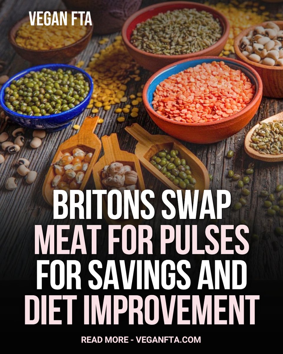 teamveganfta's tweet photo. British shoppers are eating more beans, lentils, tofu and tempeh, while buying less animal and plant-based fake meat, as they try to save money and eat more healthily. 🫘🌱
Read the full article ⬇️
https://t.co/R817l4a6t3
#plantbased #veganfood #plantbasedfood https://t.co/qWGIjyqNd0