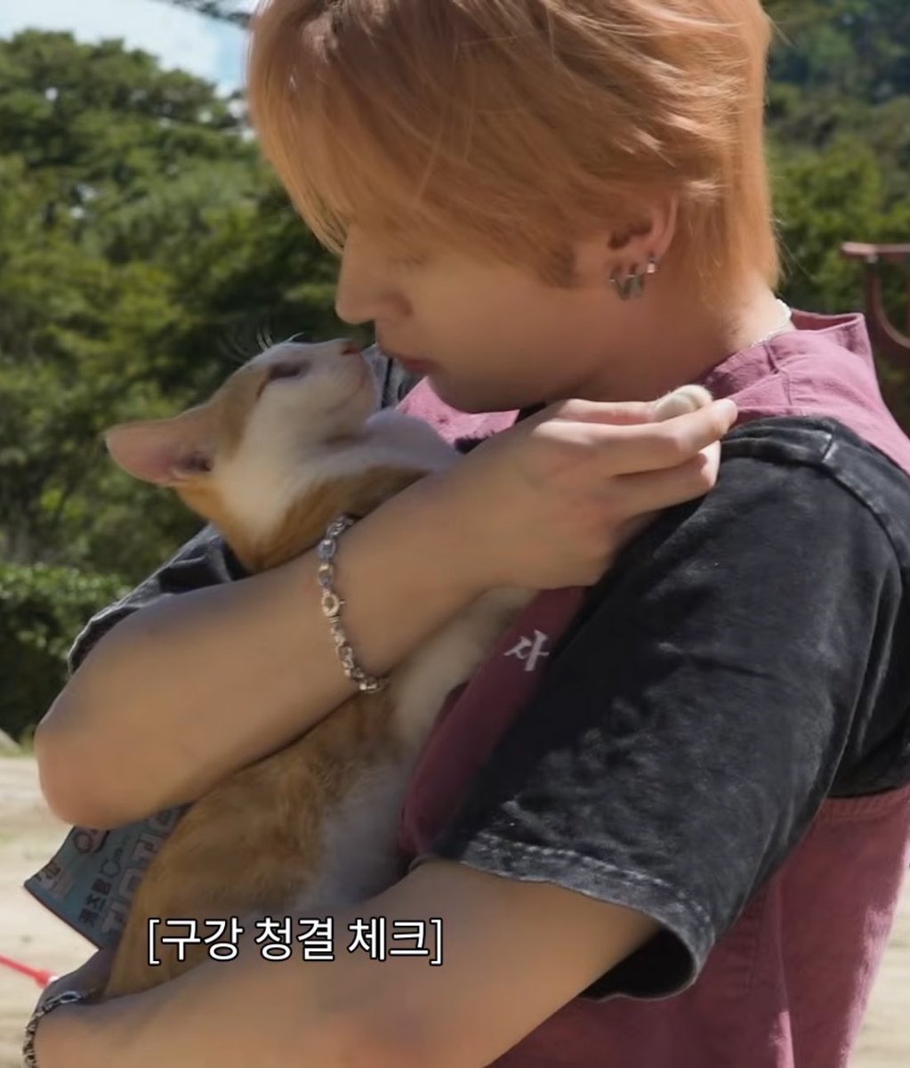 userlinoring's tweet photo. this is still stuck in my heart 😭😭 he literally met this cat 5 minutes ago btw https://t.co/CPtKfnw3l8