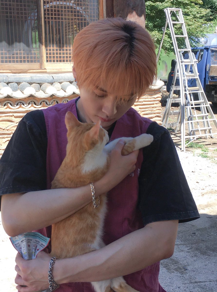 userlinoring's tweet photo. this is still stuck in my heart 😭😭 he literally met this cat 5 minutes ago btw https://t.co/CPtKfnw3l8