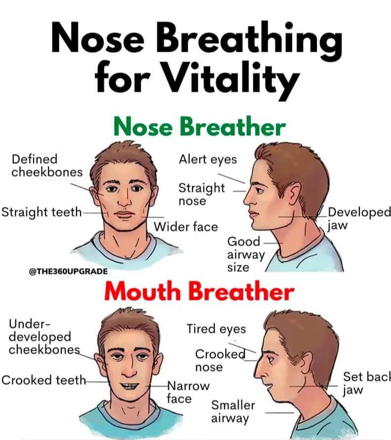 Chey4you1717's tweet photo. Nose Breathing for Vitality https://t.co/wnoqy9Wp2c