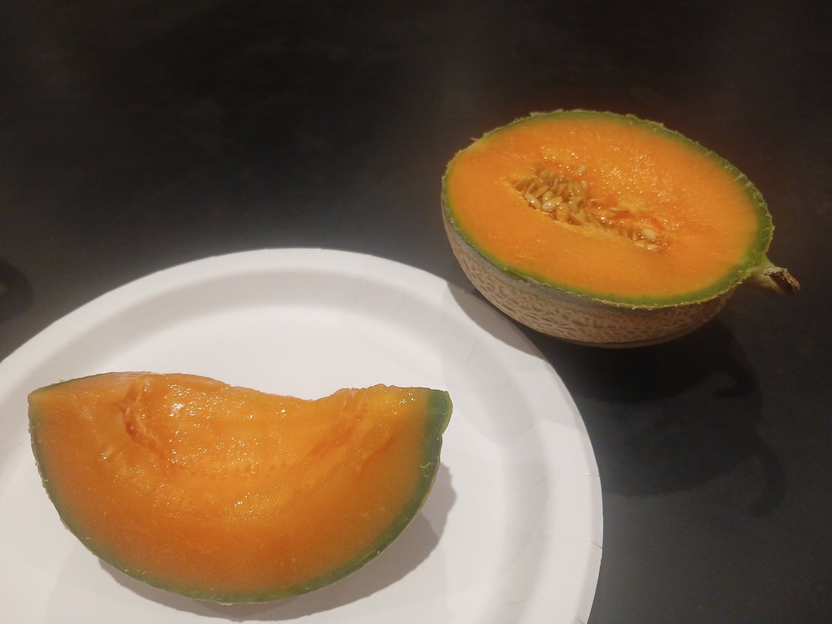 guillaumeclaret's tweet photo. Touching grass and eating melon 🍈 https://t.co/y2sfavaOWk