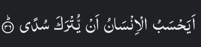Al__Quraan's tweet photo. “Do people think they will be left without purpose?”

— Al Qur’aan [75:36] https://t.co/g01ZgJll6u