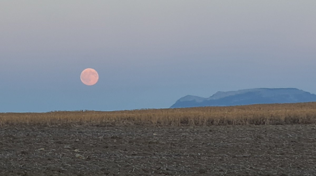 viskowitz's tweet photo. Sale la luna llena en La Llanada, #Álava 

@Euskalmet @Arabamet @meteodelnorte https://t.co/Y2FScLKPEh
