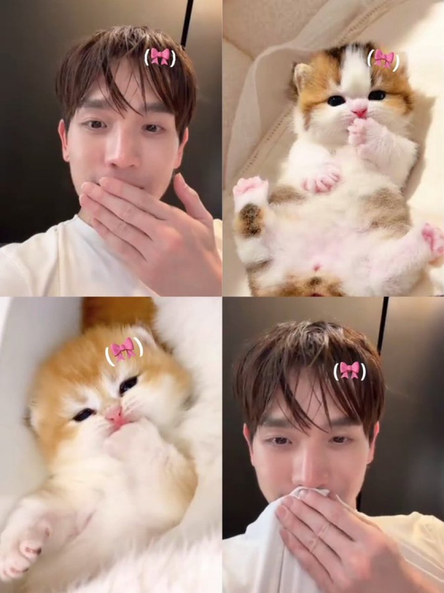 Gome_Suphawadee's tweet photo. สุขสันต์วันเกิดลูกแมวน้อยติดโบว์🐱🎀🎂 อ ขอให้เติบโตเป็นที่รัก ที่น่าเอ็นดูของทุกคนครับ

TONGTONG GLOWING AT 31

#Happy31stTongTong 

#tongtong https://t.co/Bk4RGxto0x