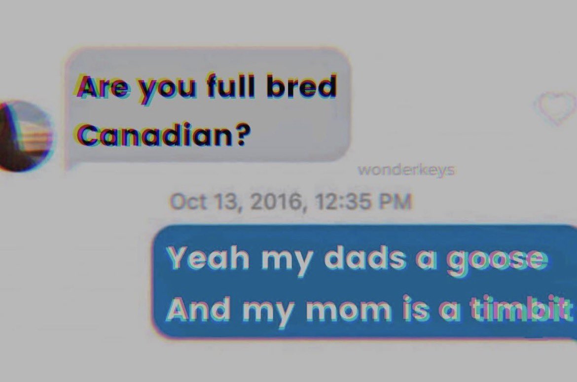 GooseChees's tweet photo. Born in a Canadian Tire https://t.co/j5UjSx2kh1