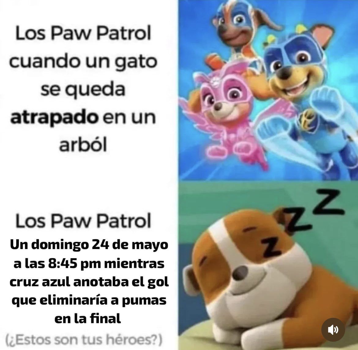 billiepuma's tweet photo. PUES TODO ESTO TIENE UNOS CULPABLES Y NADIE HACE NADA. https://t.co/IBEFvuzoO5