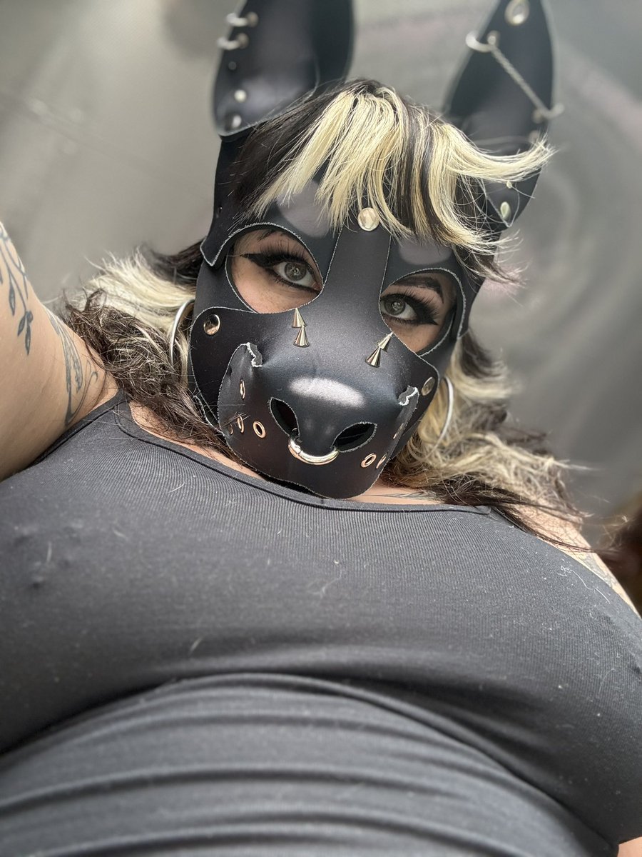 bitezafterdark's tweet photo. Hi cuties ! This pup has been so busyy

#puppygirl https://t.co/pqIamuEvzK