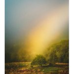 Photo by Andy Gray Photography (@AndyGrayPhoto)