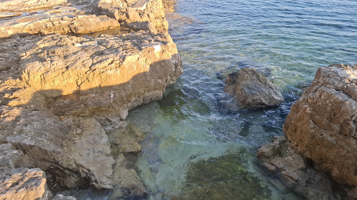 NearlyAlmostDed's tweet photo. Last Saturday I took my last swim of the season. The water was cool and pleasant, and the beach was finally free of the crowds of tourists that annually crowd every stretch of coast. https://t.co/A7cZk1w31m