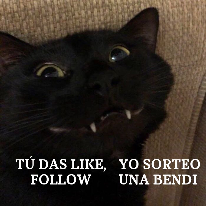 majofenrir's tweet photo. Vamos a regalar una bendi para celebrar 🐈👍🏻

Con seguirme y darle like a este post, ya estaríamos. 

​El ganador se anunciará el luneeeee para iniciar la semana de la mejor manera.

(​Aplica para: NTE, WuWa, ZZZ, HSR, Genshin, Endfield e Infinity Nikki). https://t.co/ZqtrSiGvlq