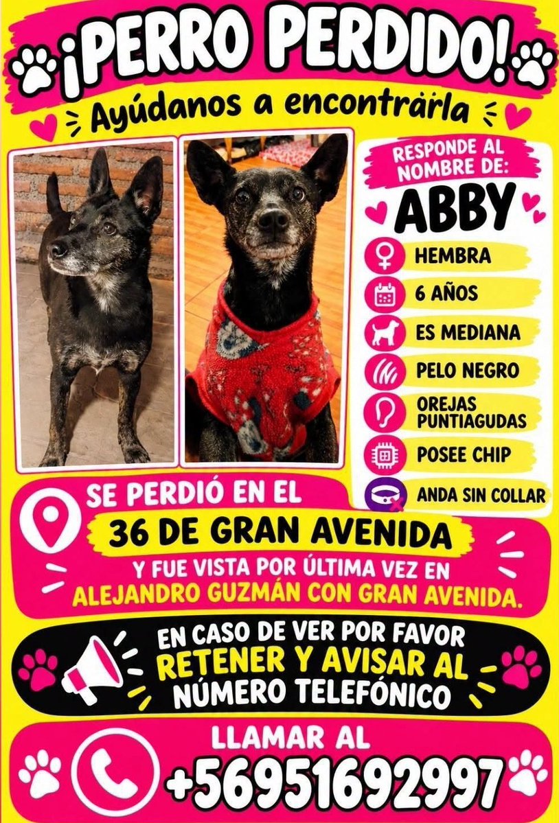 eltuitdemarsh's tweet photo. ¿Ayudamos difundiendo a Abby para que se reencuentre con su familia?
#ElBosque https://t.co/Isveaw3152