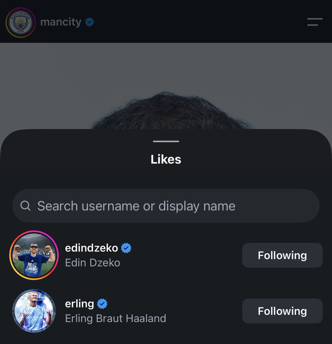 mehulg10's tweet photo. Dzeko and Haaland liking Khaldoon's statement. Our past and present number 9s. https://t.co/VSLwHbrubg