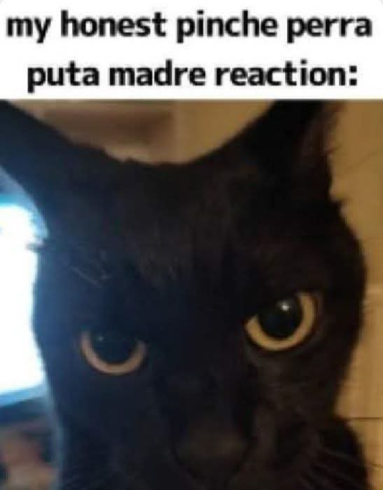 Mike01865's tweet photo. @MonaxisItsThatU El kabron de conquest se me have tremenda mamada que le hicieron un au donde se llam Carl o una mmda asi y segun es un granjero humilde, el kabron literalmente se come a los habitantes de los mundos q destruye y le encanta matar sin remordimiento https://t.co/EIwkn8WHF5