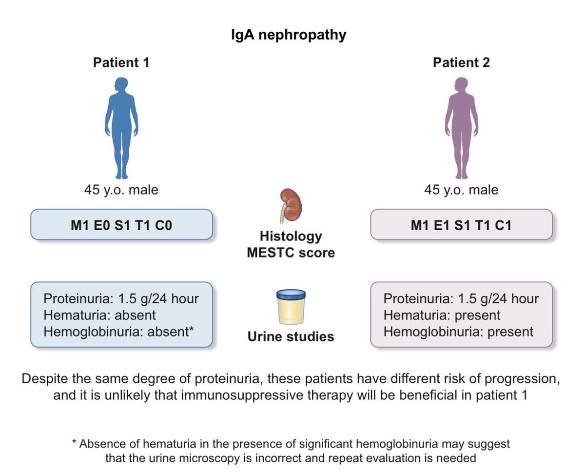 edgarvlermamd's tweet photo. Microscopic hematuria as a risk factor for #IgAN progression: considering this biomarker in selecting and monitoring patients ca. 2023 from @LadanZand @fervenzaf
#Nephpearls #RKDSummit
๐๐ผ https://t.co/2uWJ8miYNV https://t.co/8BL716xvsf