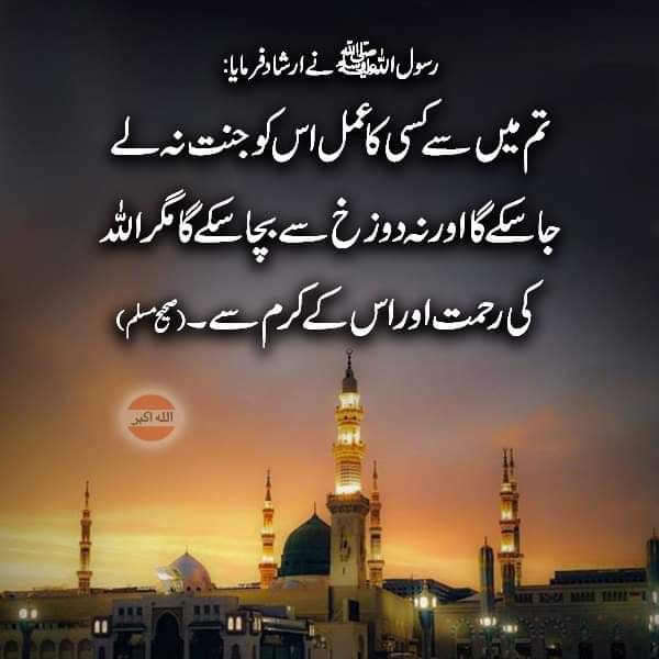 ChotiSheikhni's tweet photo. https://t.co/s0znReUzSS