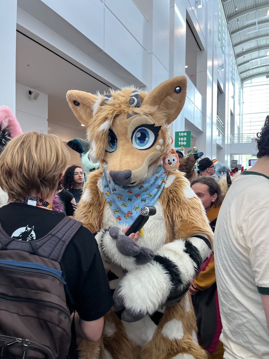 StitchFox1's tweet photo. More pics from Anthro SoCal 2026! 
#ASC2026
2 https://t.co/RuCkDQJbYx