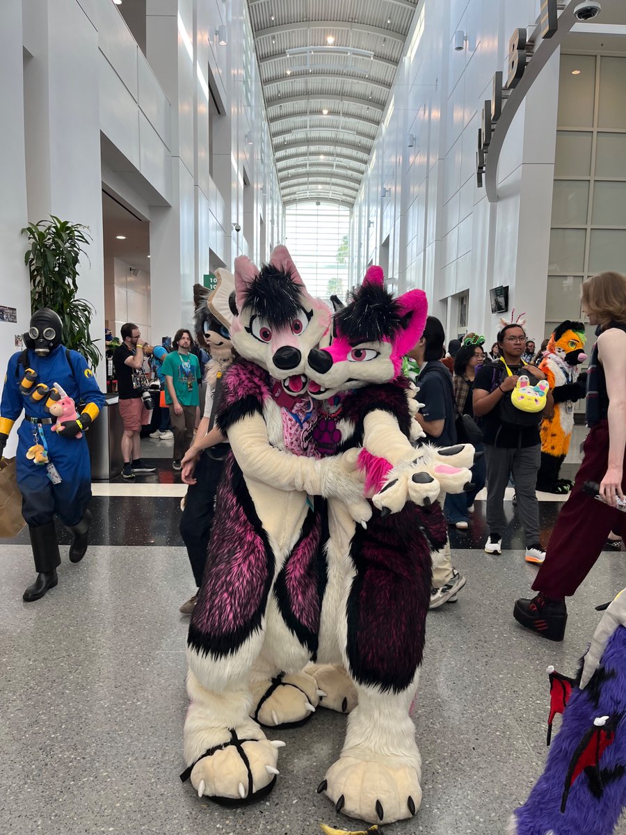StitchFox1's tweet photo. More pics from Anthro SoCal 2026! 
#ASC2026
2 https://t.co/RuCkDQJbYx