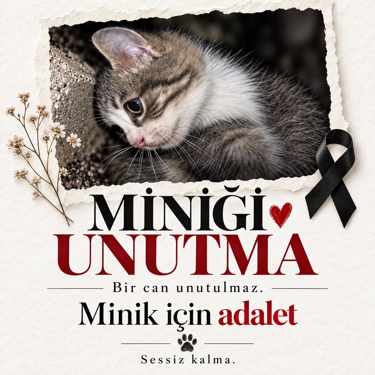 kochero's tweet photo. MİNİĞİ UNUTMA
Adını unutma
Acısını unutturma https://t.co/7Rnhm4h2W2