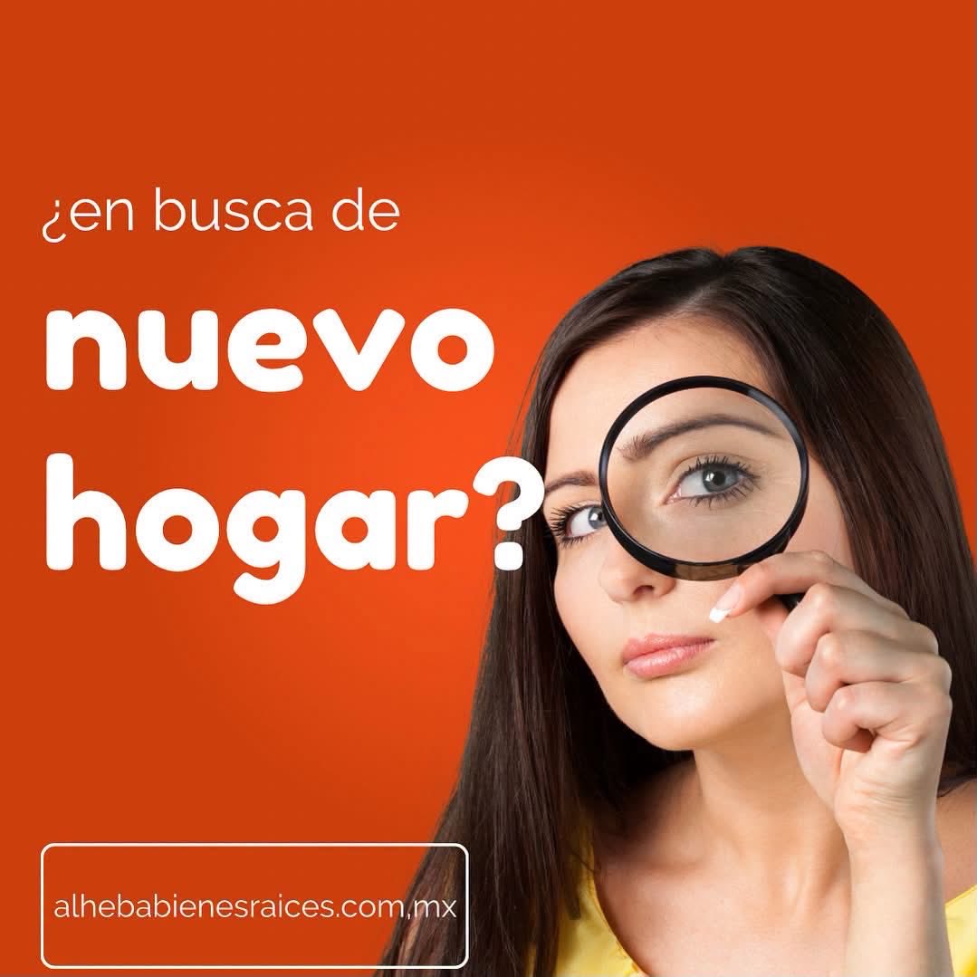 Alheba_ventas's tweet photo. ¡Contáctanos ya! 5534286401 https://t.co/sHnvWzflbb