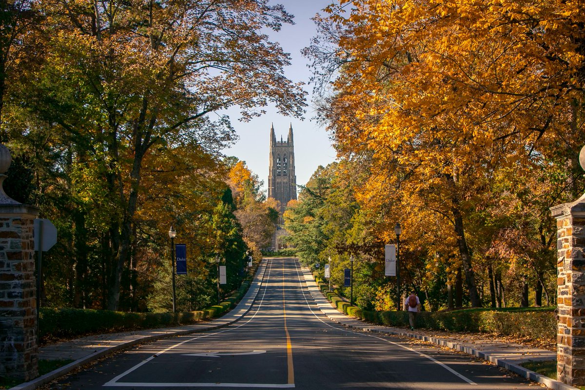 DukeBrain's tweet photo. 📢 To everyone on the job market who has a vision for neuroscience applied to biomedical applications &amp; technological innovation:

The Duke Dept. of Biomedical Engineering announces a tenure-track faculty job search in neural engineering, broadly defined!

https://t.co/sSpYL9Lg6k https://t.co/1nWxKJnZ7Q