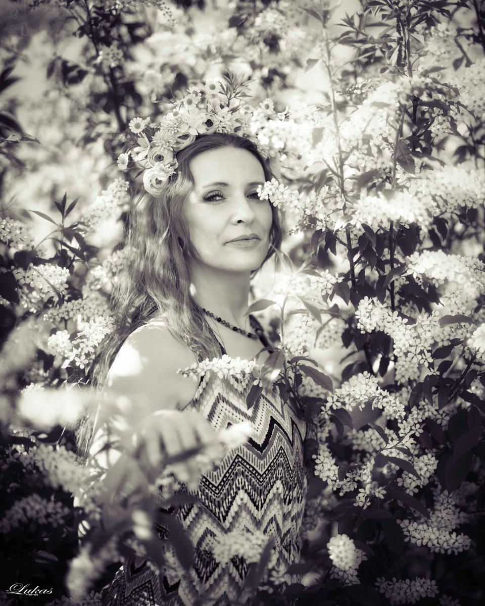 averyroberts6dv's tweet photo. Spring radiance and tenderness, where she shines like a crown of flowers. Spring feelings, happiness, and beautiful moments. https://t.co/eet1wBhna4