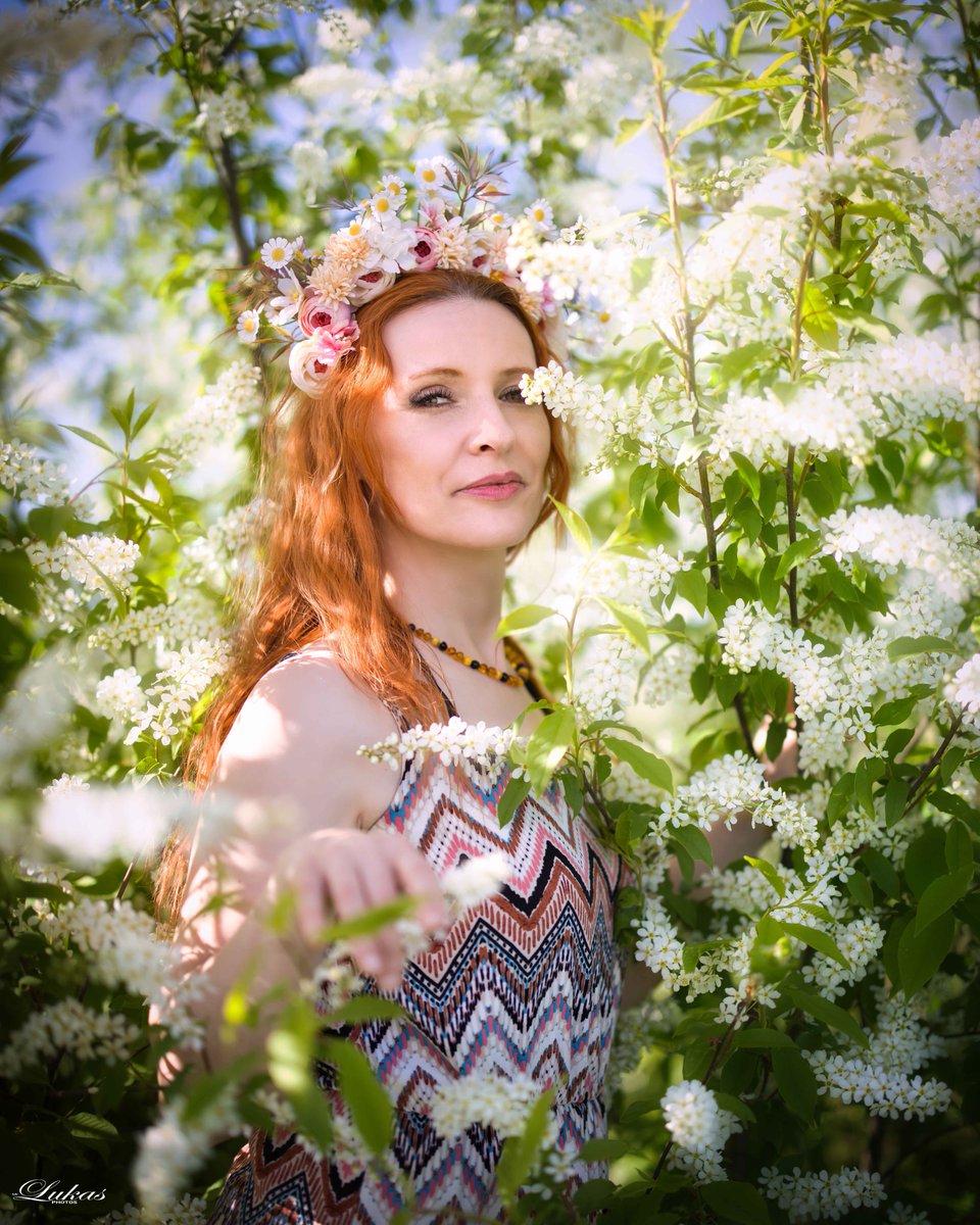 averyroberts6dv's tweet photo. Spring radiance and tenderness, where she shines like a crown of flowers. Spring feelings, happiness, and beautiful moments. https://t.co/eet1wBhna4