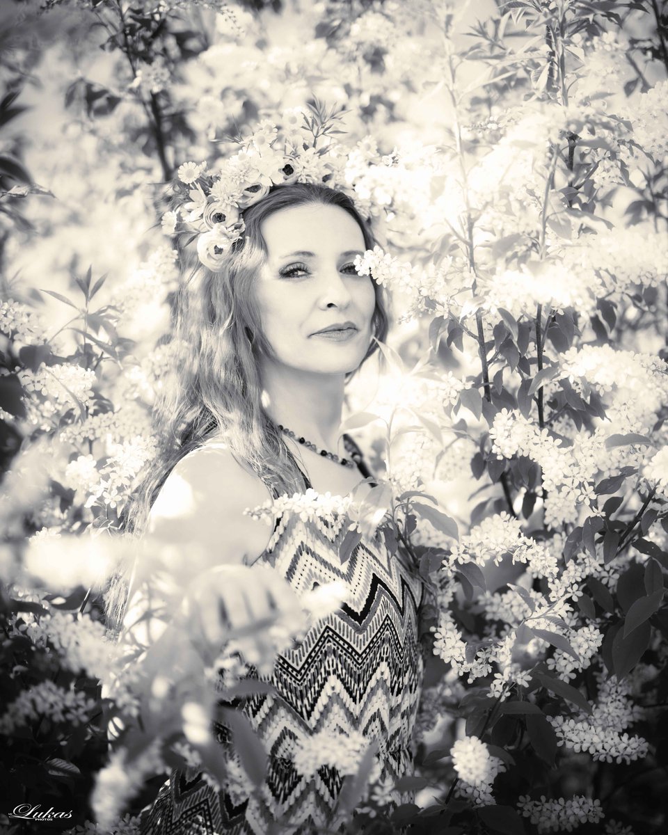 averyroberts6dv's tweet photo. Spring radiance and tenderness, where she shines like a crown of flowers. Spring feelings, happiness, and beautiful moments. https://t.co/eet1wBhna4
