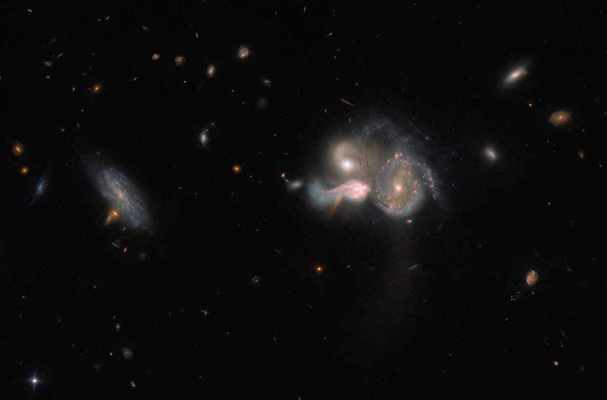 WorldAndScience's tweet photo. Three galaxies. One enormous cosmic collision.

Known as SDSSCGB 10189, this spectacular trio is in the process of merging and will eventually form one of the largest galaxies in the known univers

(Credit: ESA/Hubble &amp; NASA, M. Sun) https://t.co/P1tZoNPqnP