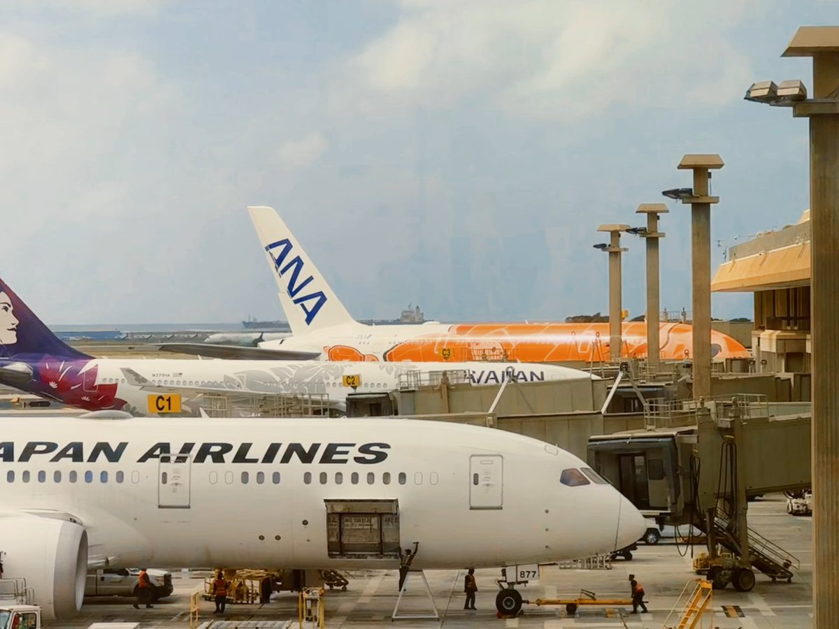 Samrfwr's tweet photo. Tokyo 🛫 Hawaii
Aloha! https://t.co/DPhdaCTsAf