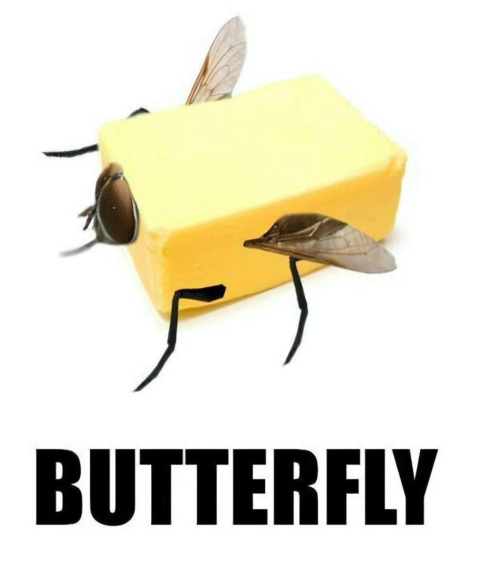 ButterflyRounds's tweet photo. 🦋🦋🦋🦋🦋🦋🦋🦋
STOP HERE 

Go back and ✅ YOUR DROP !!

CU BY 1:00 PM EST 
🦋🦋🦋🦋🦋🦋🦋🦋🦋🦋🦋 https://t.co/Y8RUccq1RD