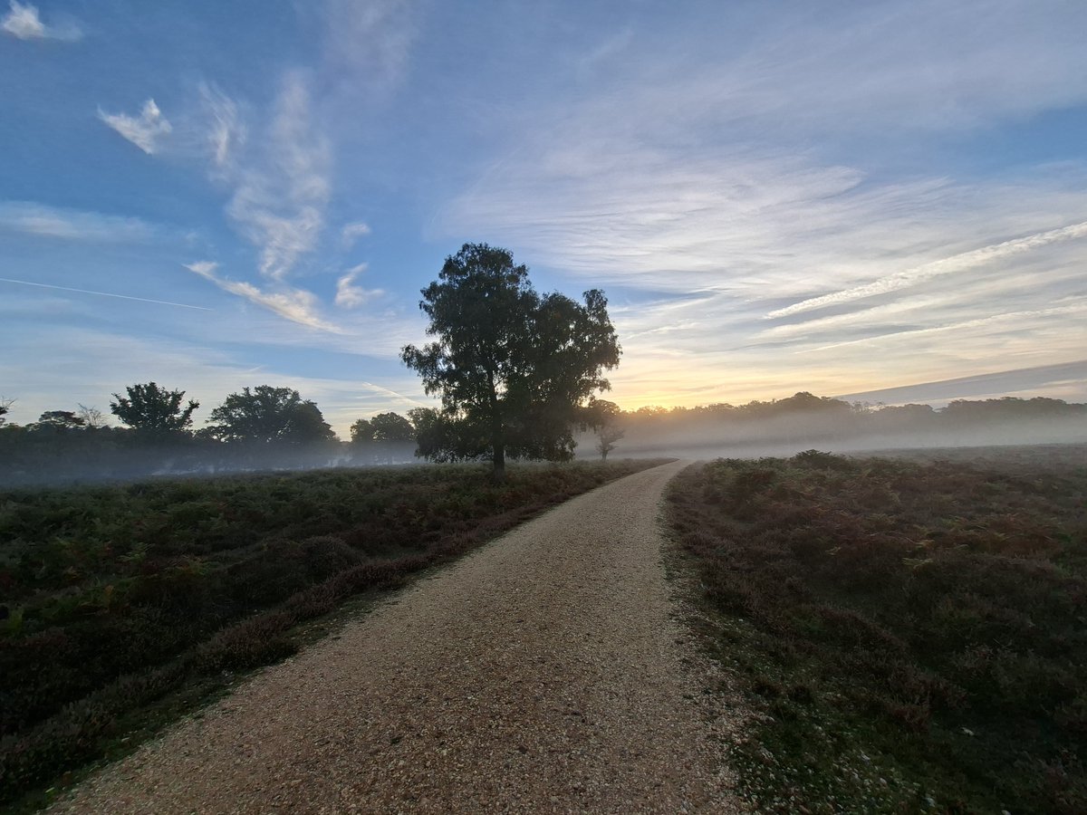newforestranger's tweet photo. More from this mornings dawn patrol.
Disapointingly quiet on the wildlife front, more than worth it for the tranquility and autumn mist.
Beautiful.
Privileged to be in a job helping to protect it.
@NewForestNPA
#NewForestCode https://t.co/J1bVYpuOXc