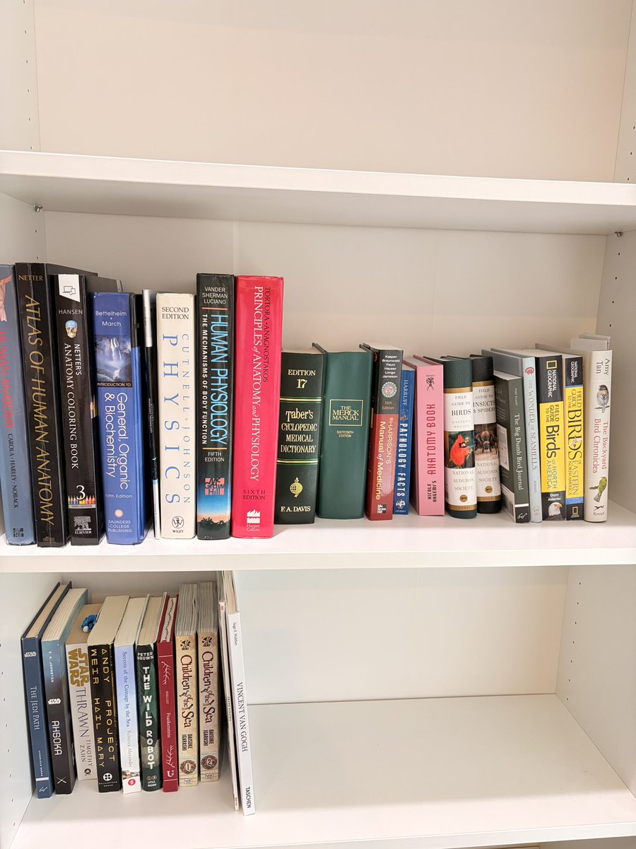 alienszarecool's tweet photo. put away my transformers and now i actually have somewhere to put my books😭 https://t.co/qIcS3LDaTN