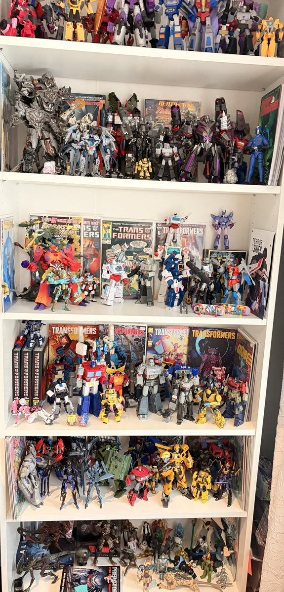 alienszarecool's tweet photo. put away my transformers and now i actually have somewhere to put my books😭 https://t.co/qIcS3LDaTN