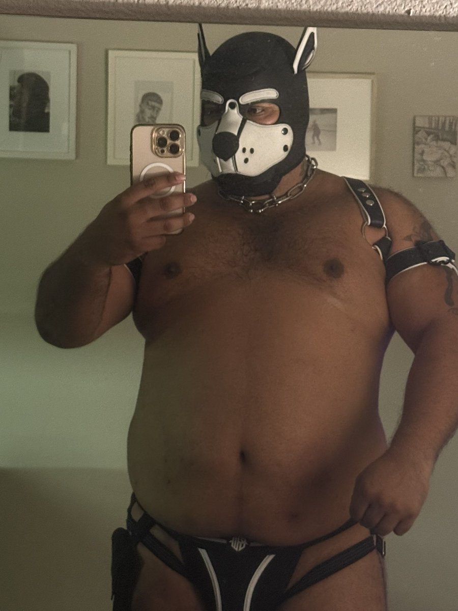bararising's tweet photo. Hey 🐶🤎✨ https://t.co/rTLqefLYqB