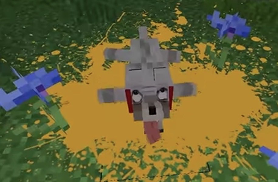 pookiecore's tweet photo. how it genuinely has felt without phighting for the past few hours https://t.co/EVnuJVM3yH