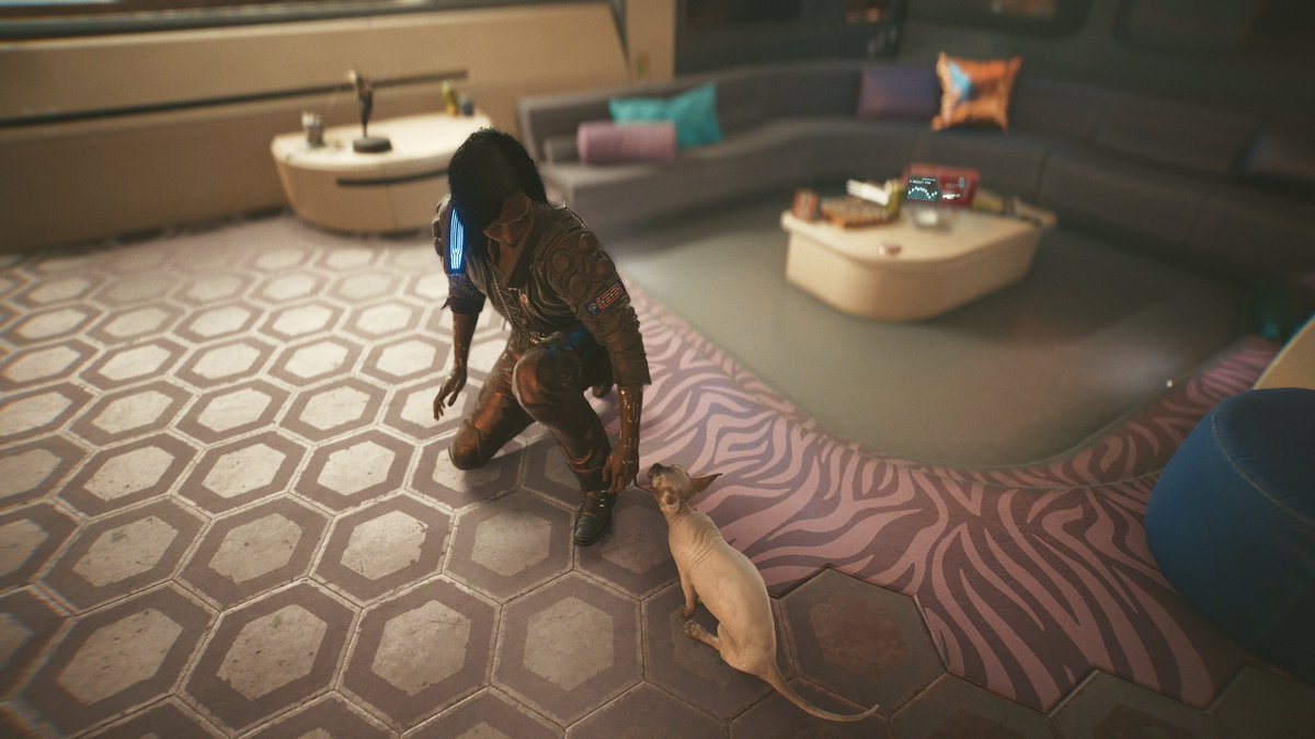SquishyFluffies's tweet photo. I finally got the cat aka Nibbles! My V is so pretty!!! 🥹🥹🥹🥺🥺🥺😭😭😭💞💕🛐
#cyberpunk2077 #nibbles #v #myv #vcyperbunk https://t.co/4gSrq3KBsG