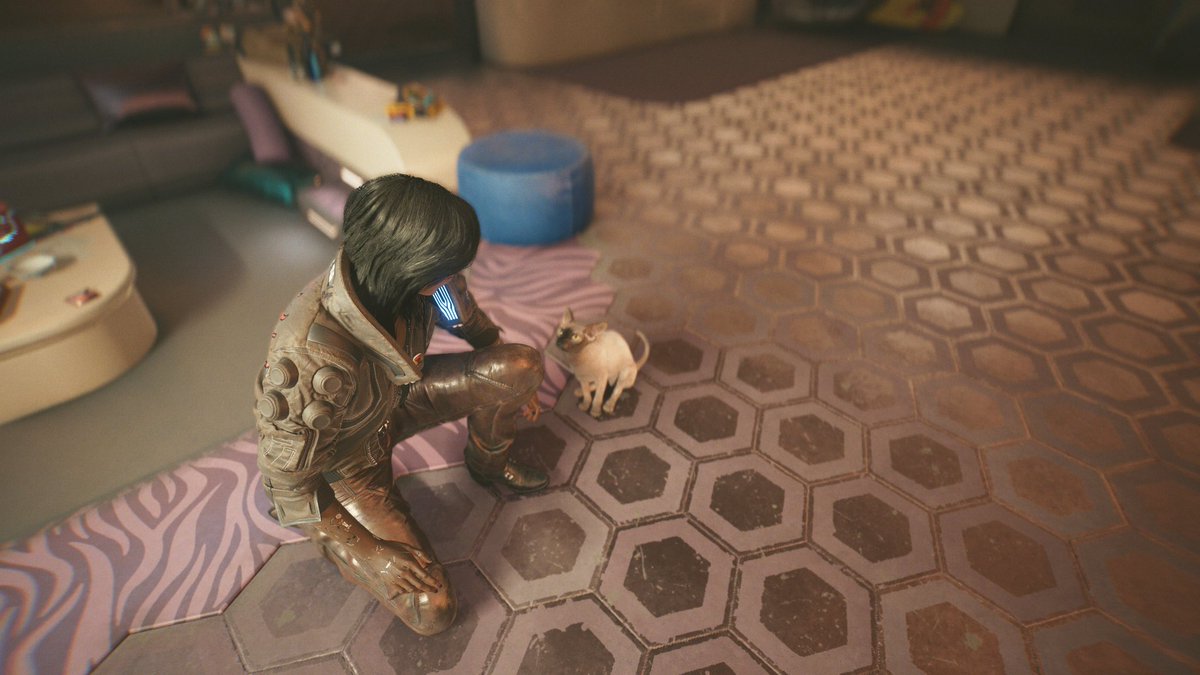 SquishyFluffies's tweet photo. I finally got the cat aka Nibbles! My V is so pretty!!! 🥹🥹🥹🥺🥺🥺😭😭😭💞💕🛐
#cyberpunk2077 #nibbles #v #myv #vcyperbunk https://t.co/4gSrq3KBsG
